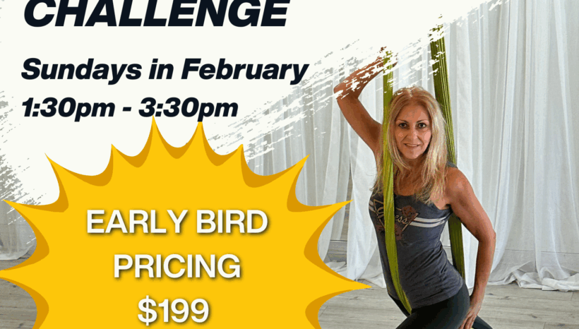 Aerial Beginner Challenge